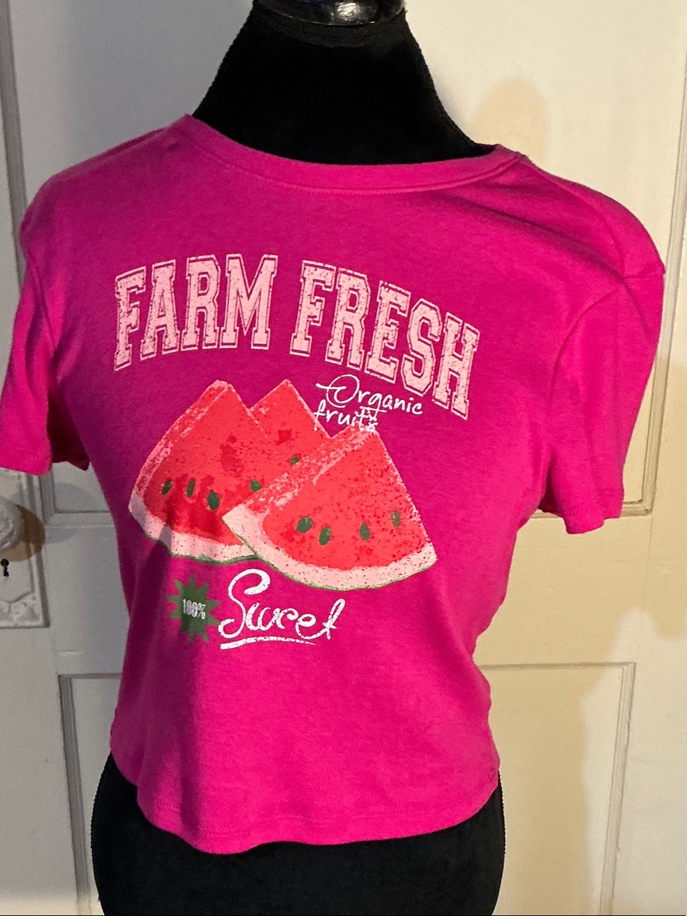 No Boundaries Pink Farm Fresh Watermelon Crop Tee